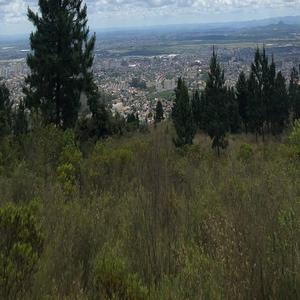 黑人与亚洲女深喉呕吐
